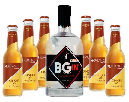 KIT BERGHEM MÒL | Bottiglia BGin 42° Red + 6 bottiglie Organics Ginger Ale